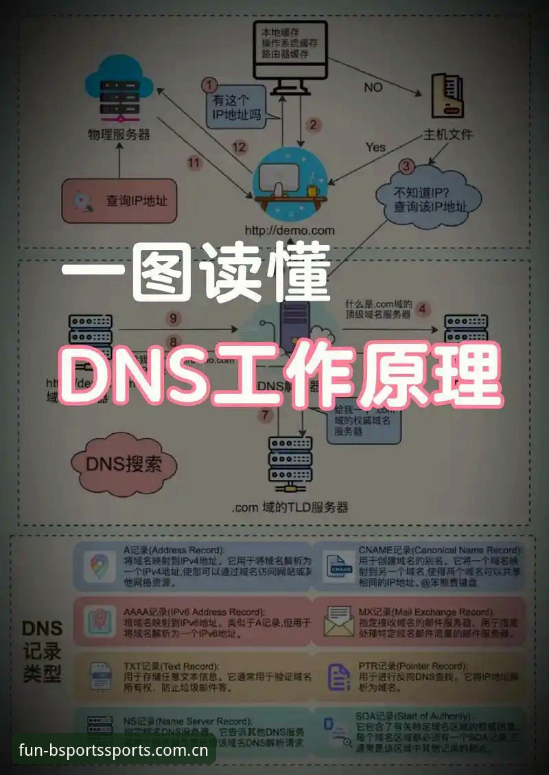 BSports官方地址 BSports平台使用教程:从官方地址验证到游戏注册全流程解析